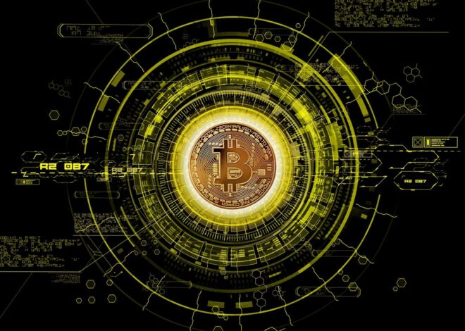 Types of Cryptocurrency: A Comprehensive Guide for 2024